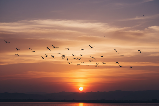 Gestionar tus emociones no es reprimirlas: es aprender a sostenerlas